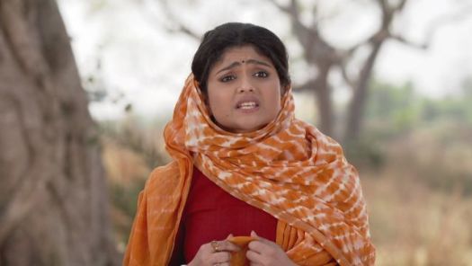 Gilli tv star jalsha